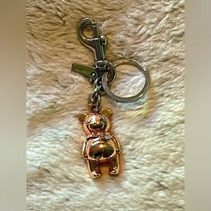 Coach teddy bear keying
